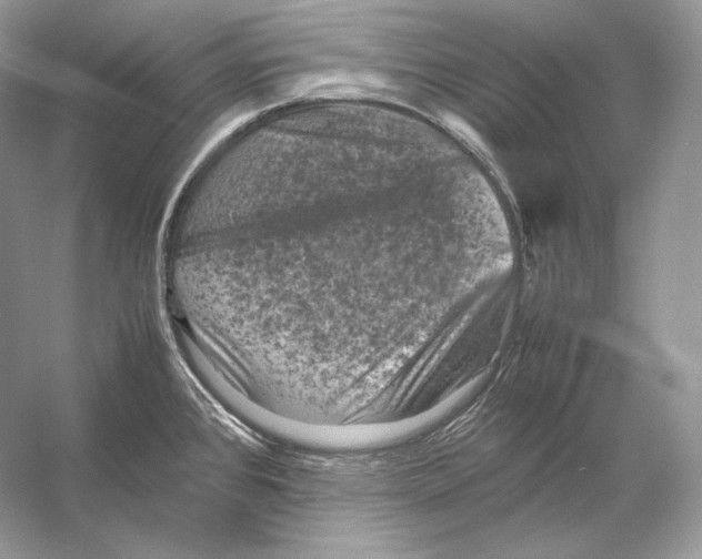 X0000053131384200508081306