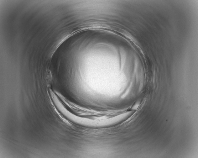 X0000053131385200508081306