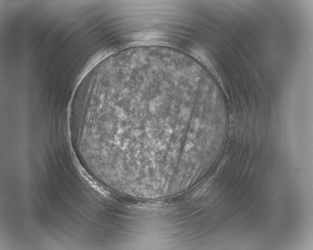 X0000053131386200508081306
