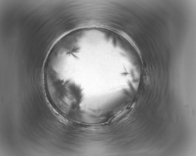 X0000053131388200508081306