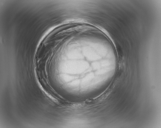 X0000053131389200508081306