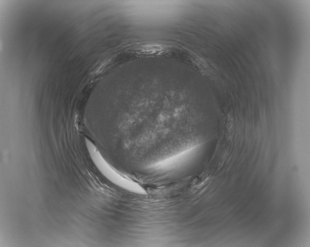X0000053131394200508081305
