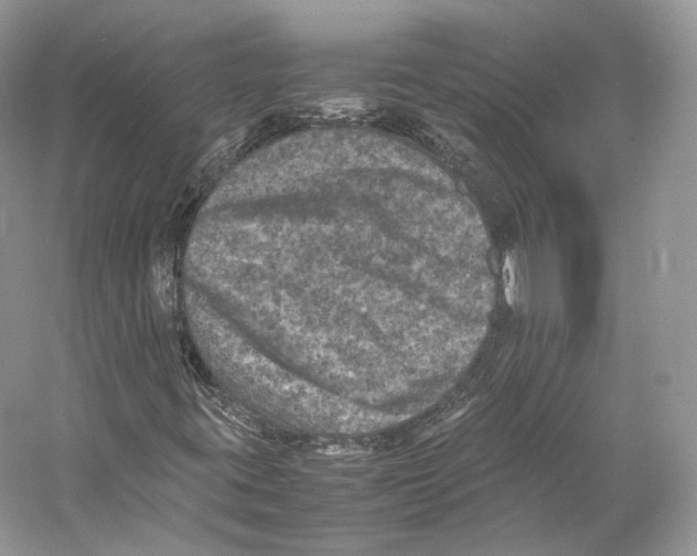 X0000053131395200508081305
