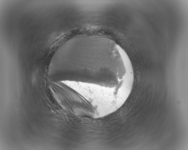 X0000053131397200508081306