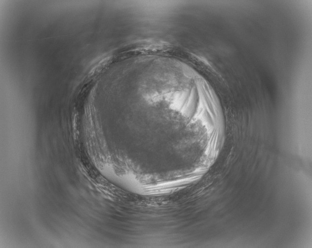 X0000053131399200508081306
