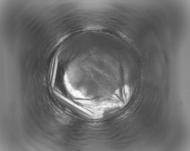 X0000053131401200508081306