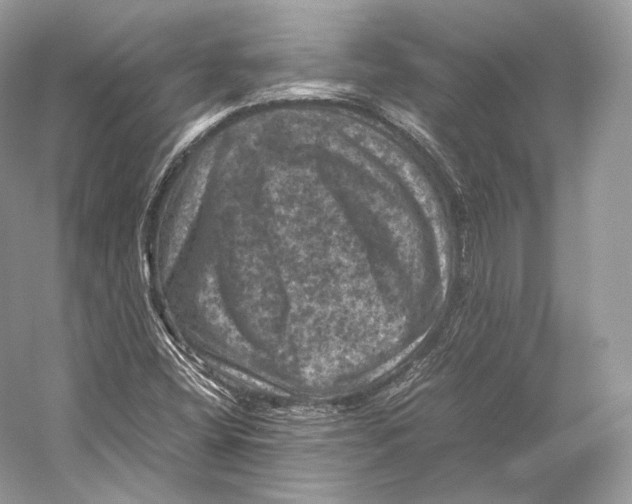 X0000053131404200508081306