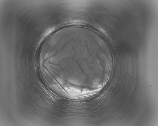X0000053131405200508081306