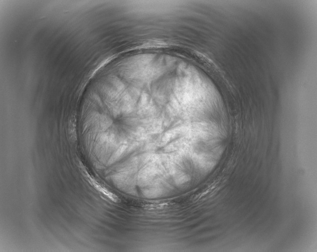 X0000053131409200508081306