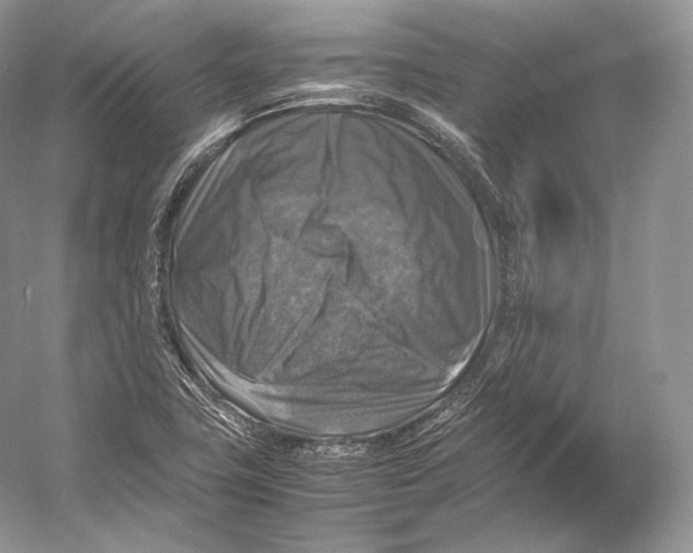 X0000053131411200508081306