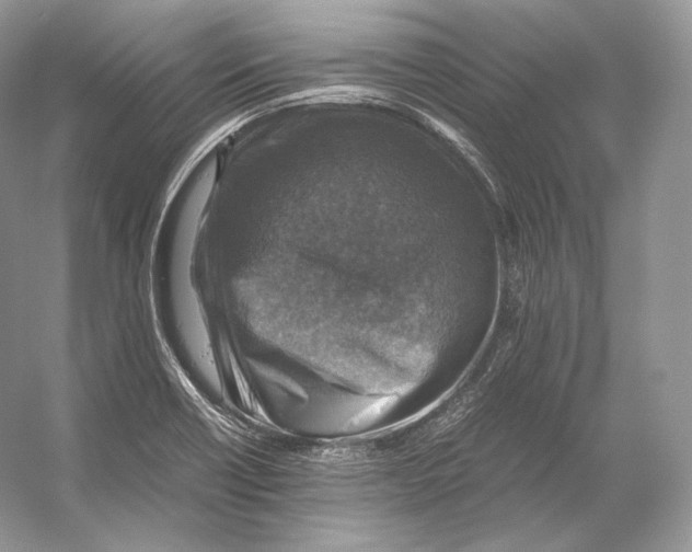 X0000053131418200508081306