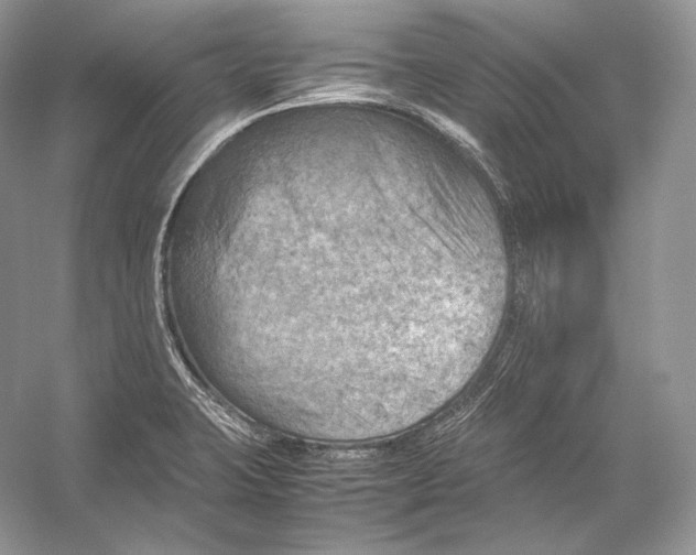 X0000053131423200508081306