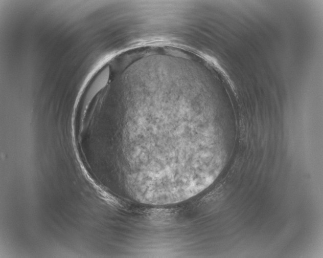 X0000053131424200508081306