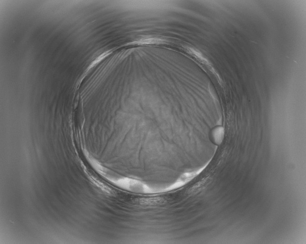 X0000053131425200508081306