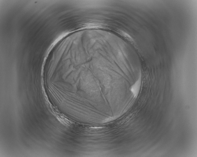 X0000053131427200508081306