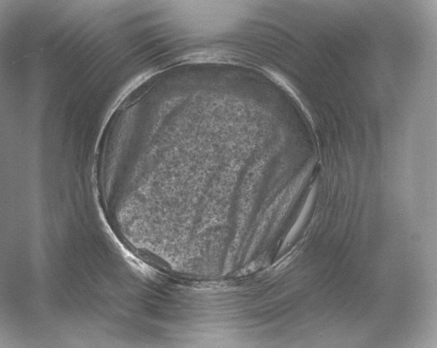 X0000053131434200508081306