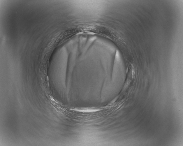 X0000053131441200508081305