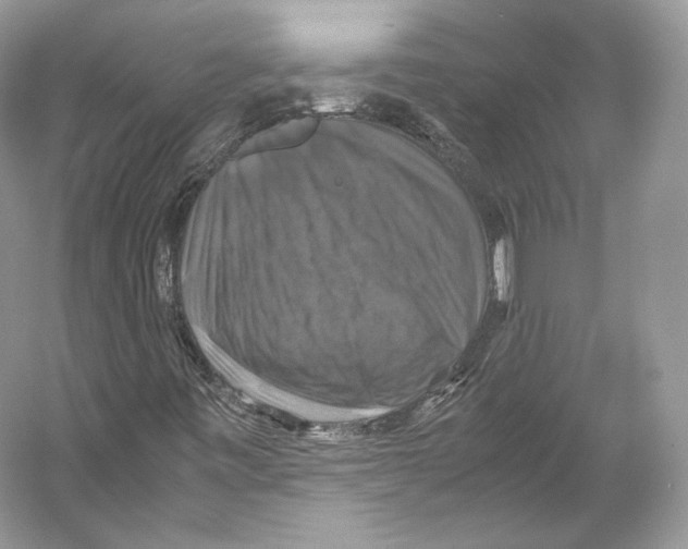 X0000053131443200508081305