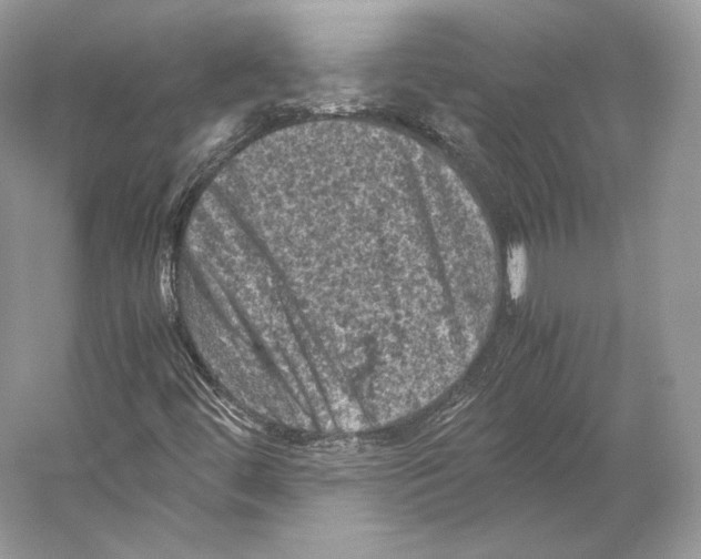 X0000053131444200508081305
