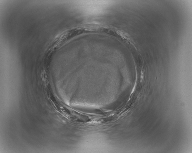 X0000053131445200508081305
