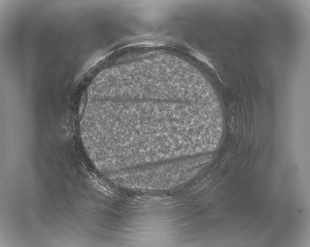 X0000053131448200508081305