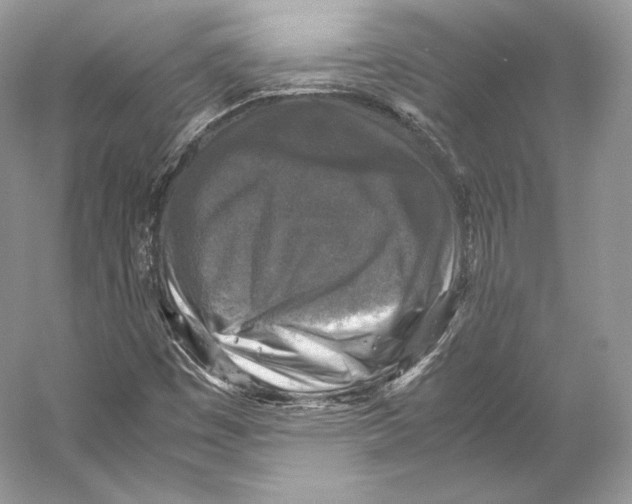 X0000053131449200508081305