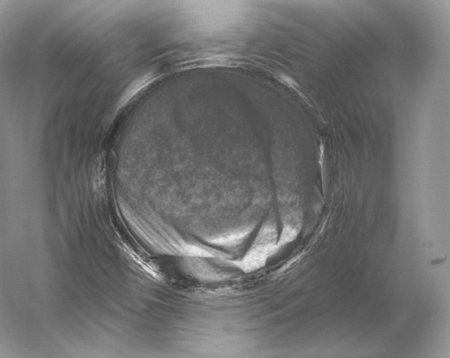 X0000053131450200508081305