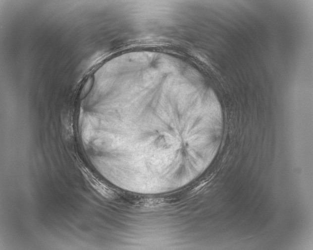 X0000053131451200508081305