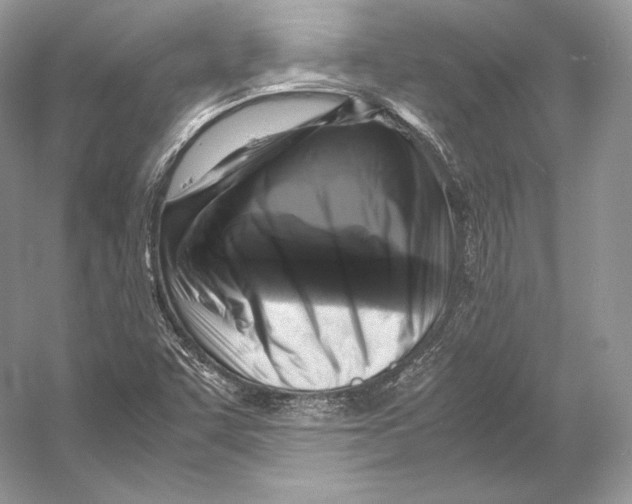 X0000053131455200508081305
