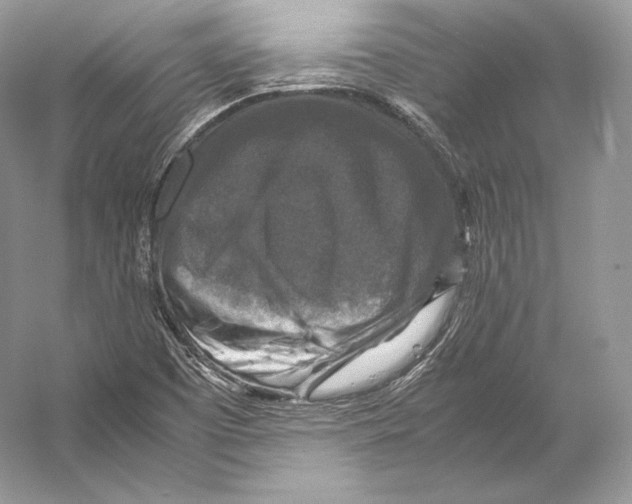 X0000053131457200508081305