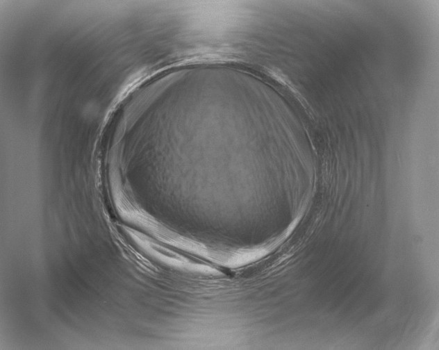X0000053131459200508081305