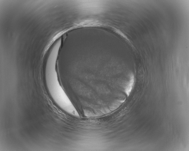 X0000053131461200508081305