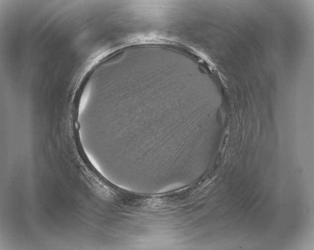 X0000053131463200508081305