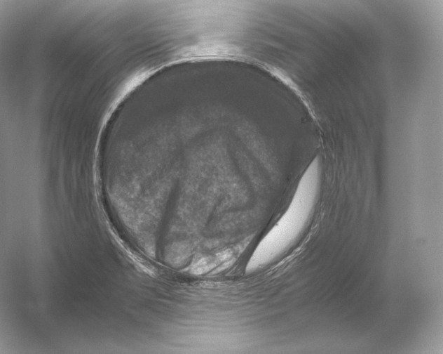 X0000053131469200508081305