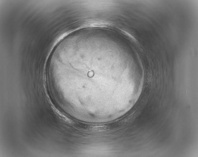 X0000053131471200508081305