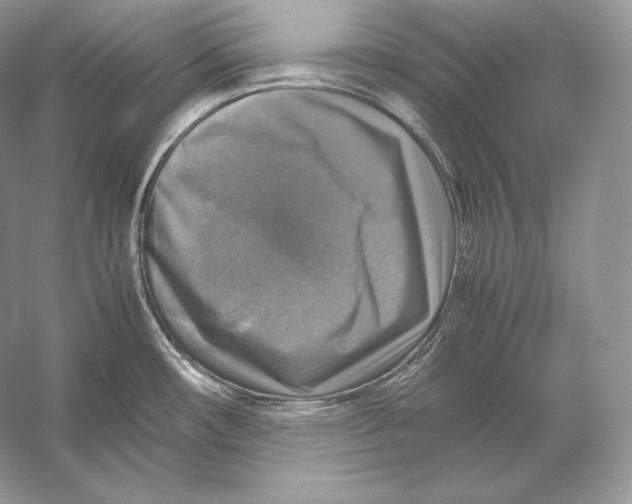 X0000053131482200508081305