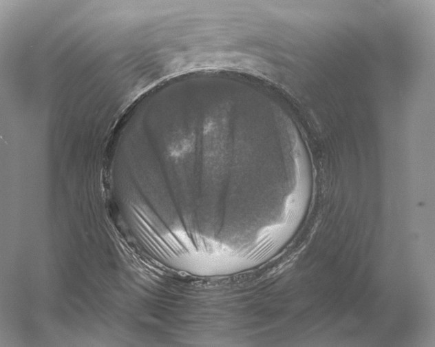 X0000053131497200508081304