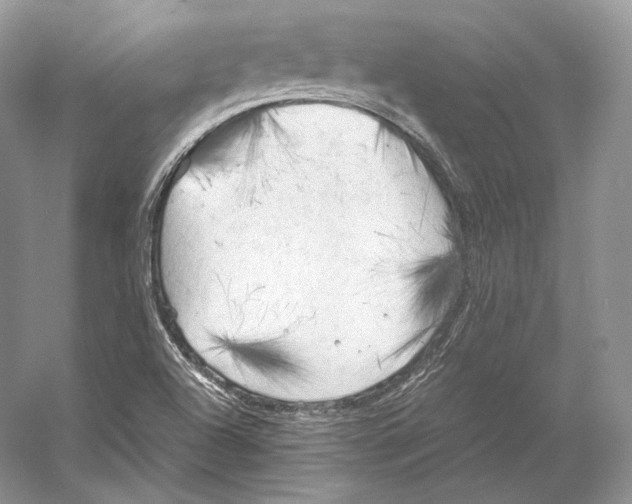 X0000053131504200508081304
