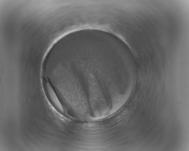 X0000053131508200508081304