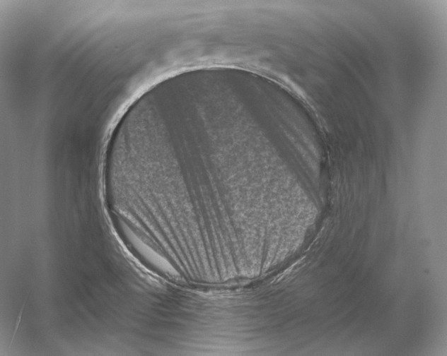 X0000053131512200508081304