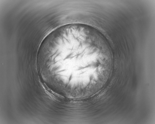 X0000053131513200508081304