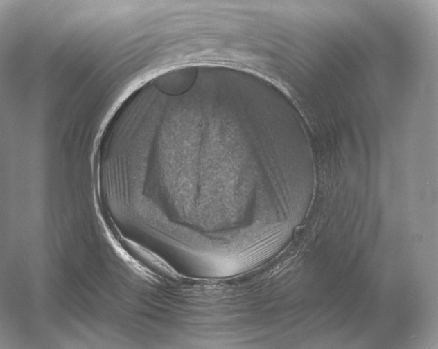 X0000053131515200508081304