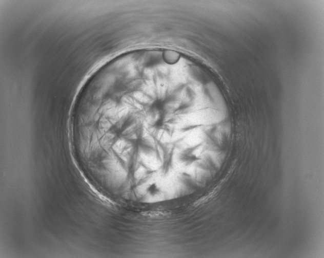 X0000053131517200508081304