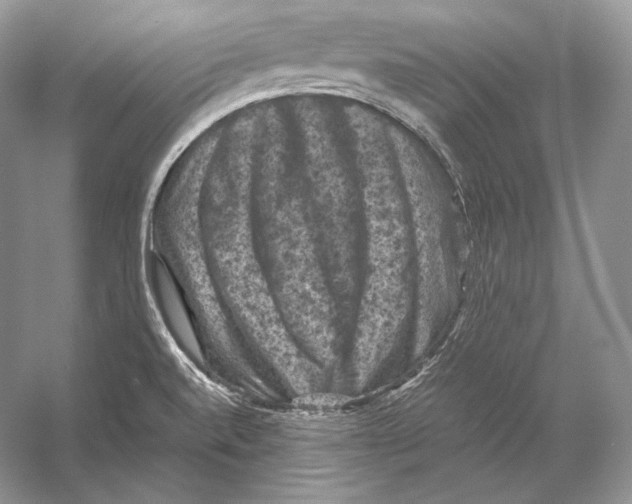 X0000053131520200508081304