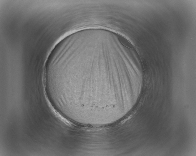 X0000053131526200508081304