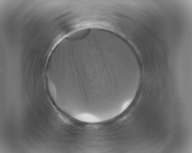 X0000053131529200508081304