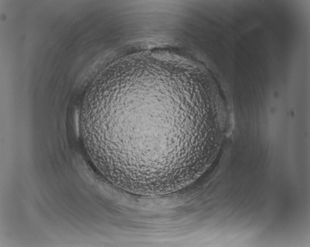 X0000053140022200507111439
