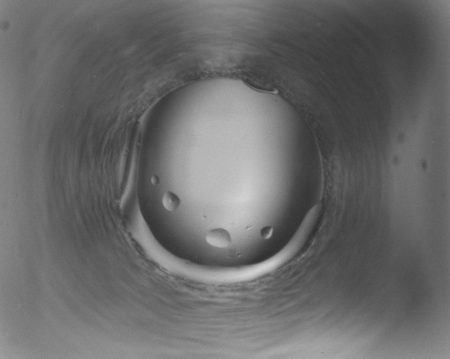 X0000053140033200507111438