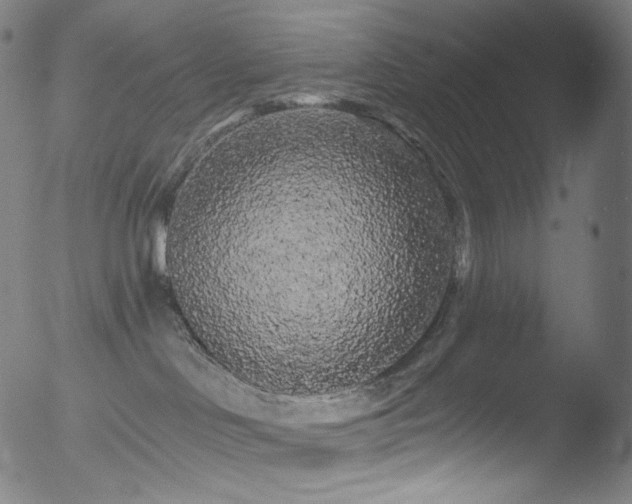 X0000053140046200507111438