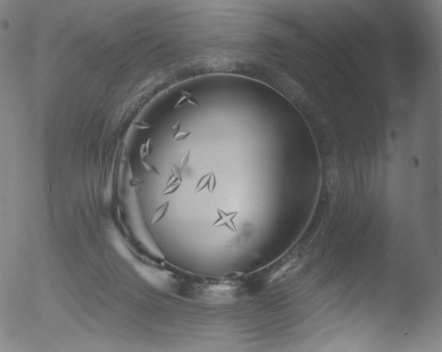 X0000053140072200507111438